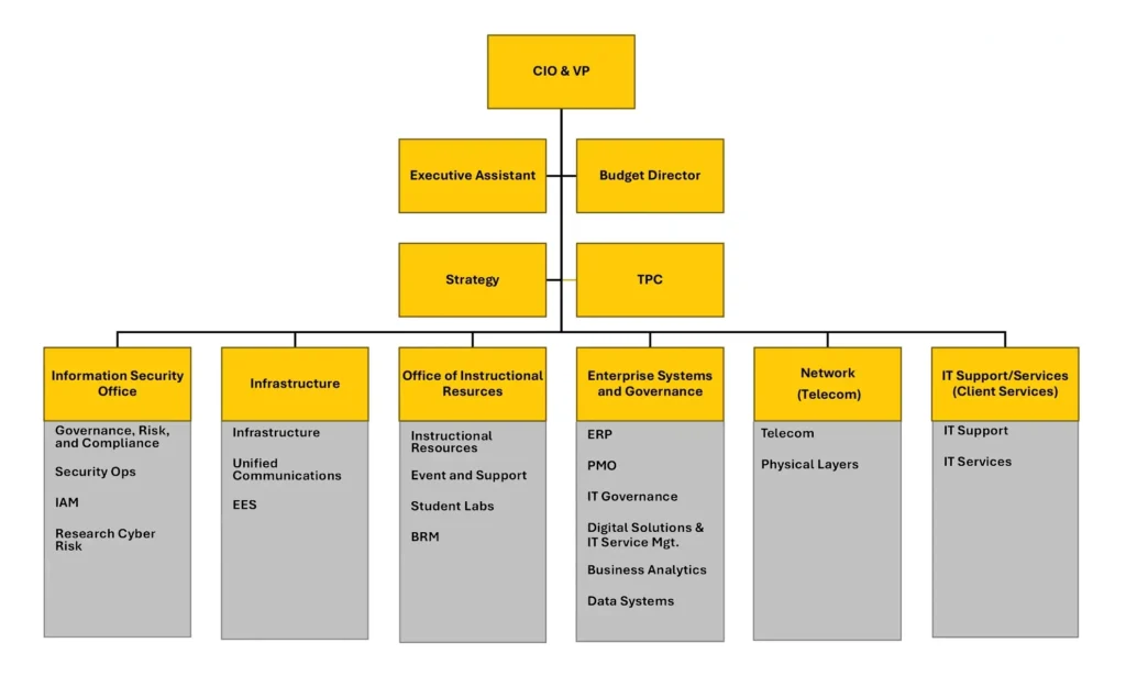 Organizational chart showing CIO & VP at the top, with eight departments, an Executive Assistant and Budget Director beneath.